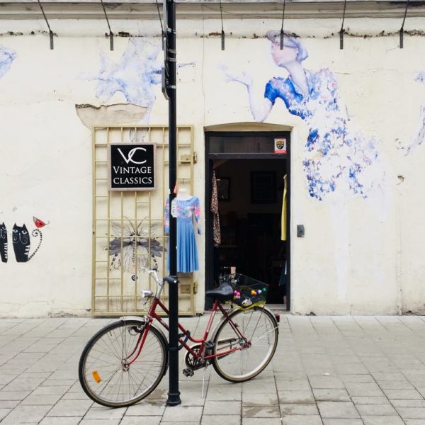 40566539_271818930101740_2038770646984425472_n